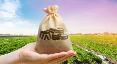 जग्गा धितो राखेर ऋण