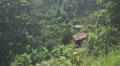 बागलुङमा पहिराको त्रासले रित्तियो पुरै गाउँ