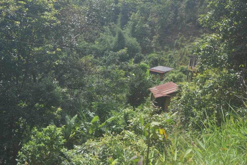 बागलुङमा पहिराको त्रासले रित्तियो पुरै गाउँ