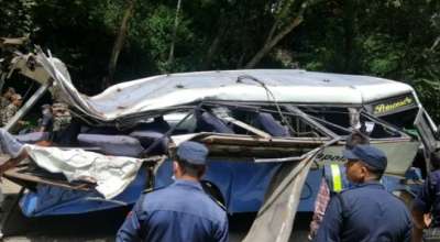 सल्लाको रुख ढलेर