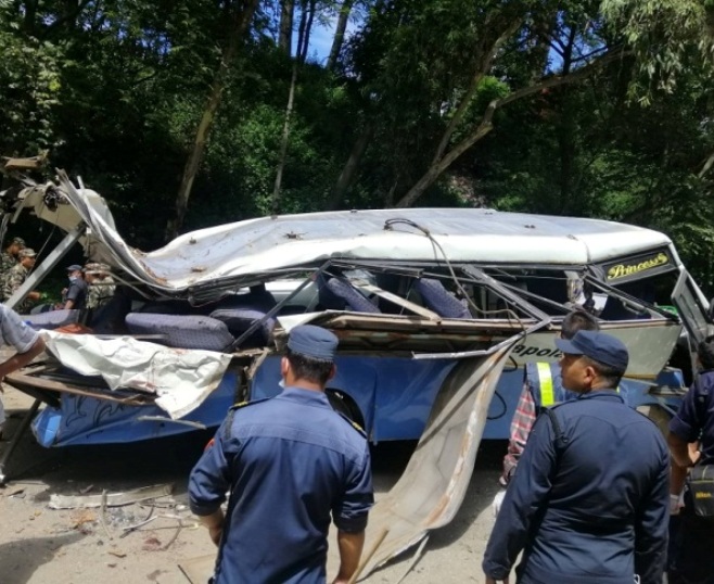 सल्लाको रुख ढलेर