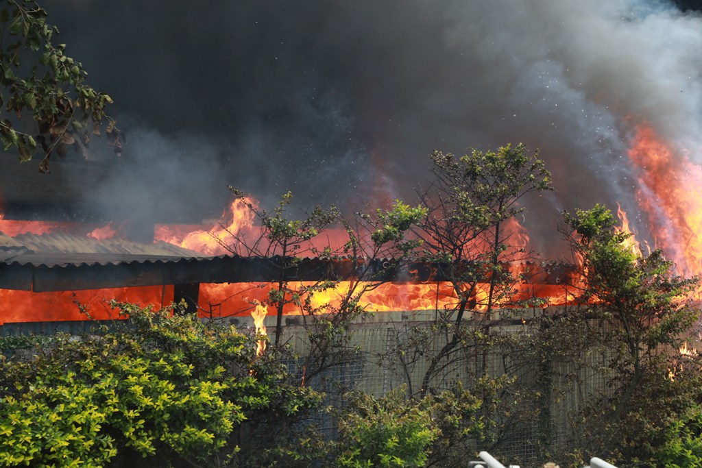 भृकुटीमण्डप आगलागी