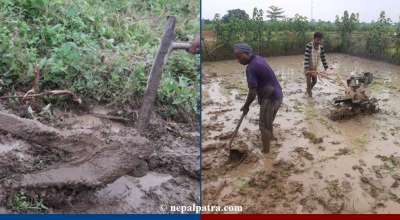 हलो र ट्याक्टर