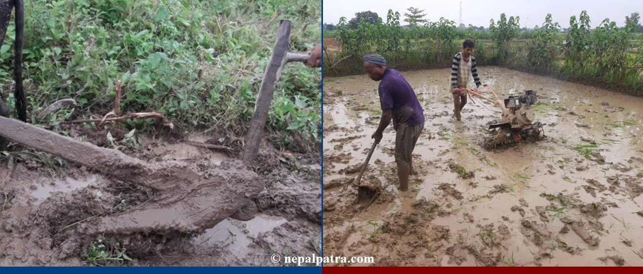 हलो र ट्याक्टर