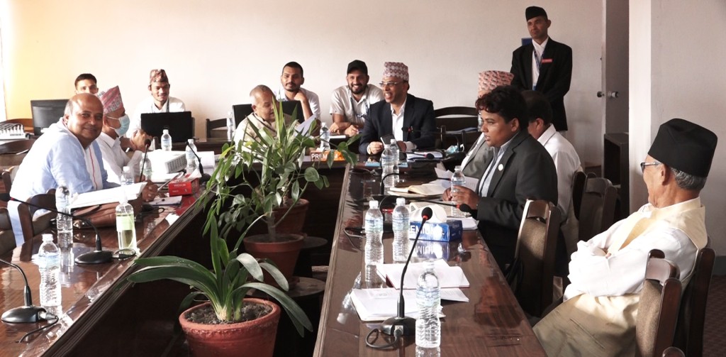 अर्थमन्त्री जनार्दन शर्मा छानबिन विशेष समिति