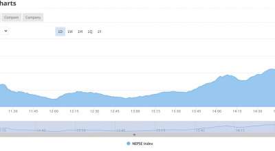 नेप्से परिसूचक