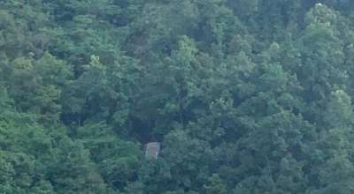 पाल्पामा बस दुर्घटना