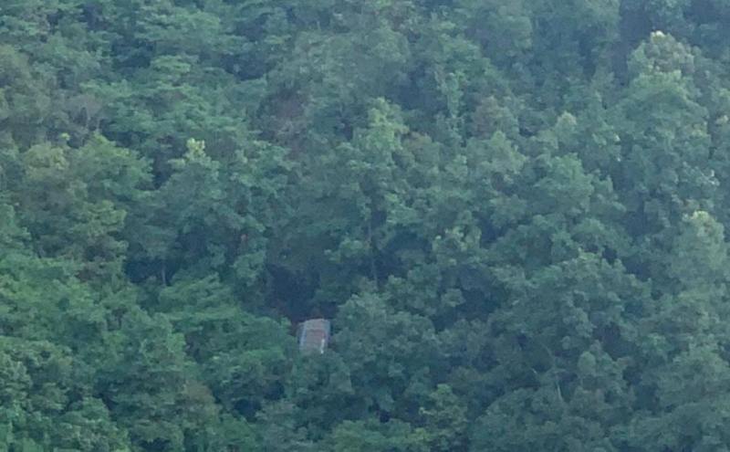 पाल्पामा बस दुर्घटना