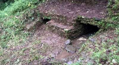 राजकुवा