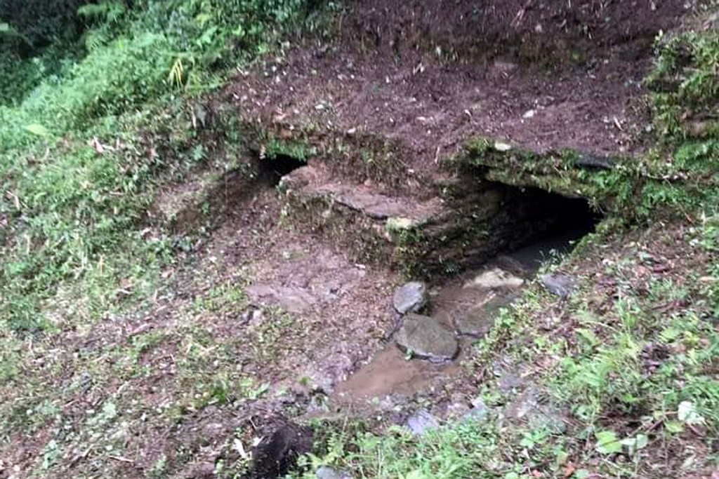 राजकुवा