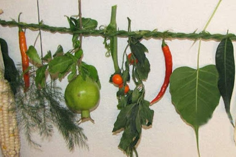 सिसेक्पा तङ्नाम