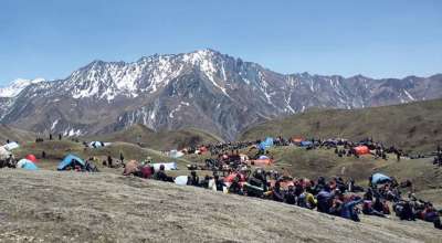 यार्सागुम्बा