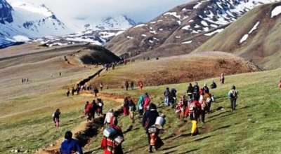 यार्सागुम्बा