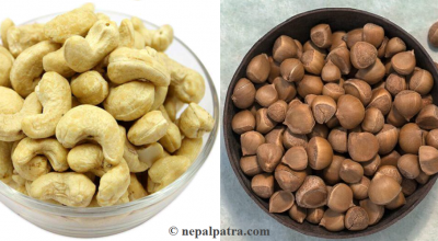 काजुदेखि कटुससम्म