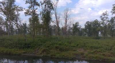 गौरीशङ्कर सामुदायिक वन