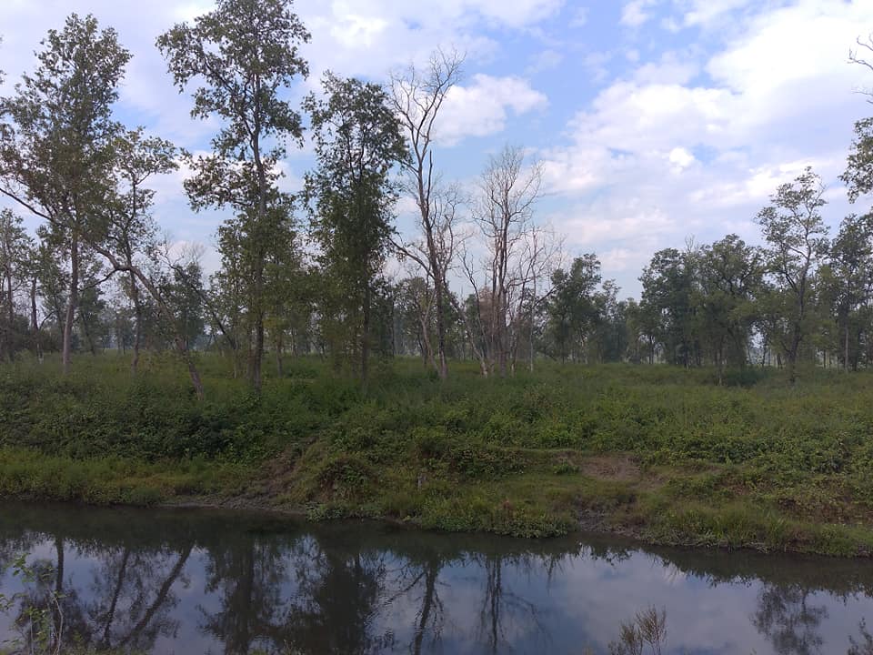 गौरीशङ्कर सामुदायिक वन