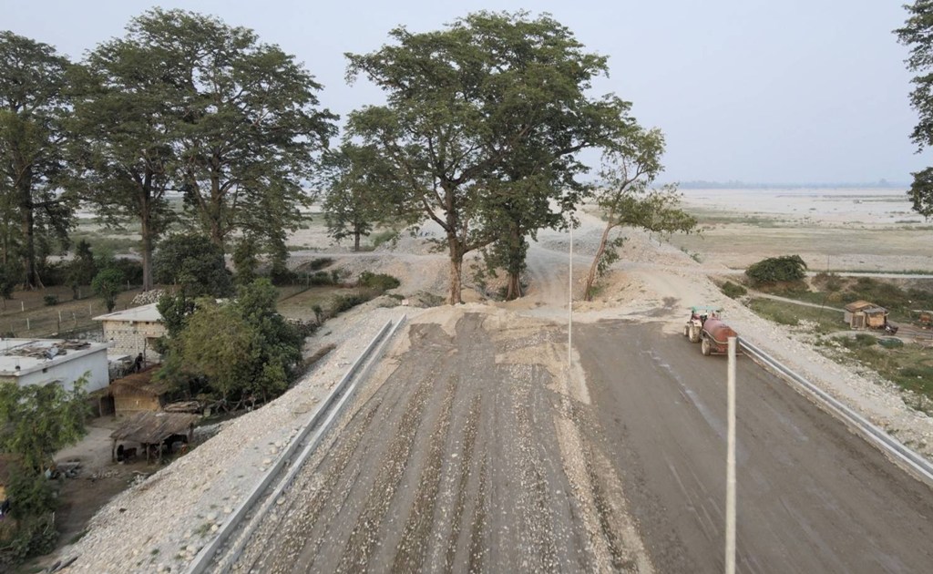 सिमलको रुख