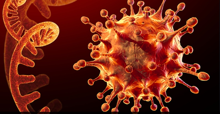 जिन सिक्वेनसिङ