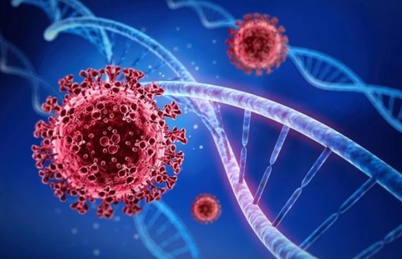 जिन सिक्वेनसिङ