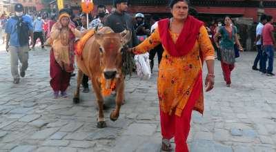 गाईजात्रा