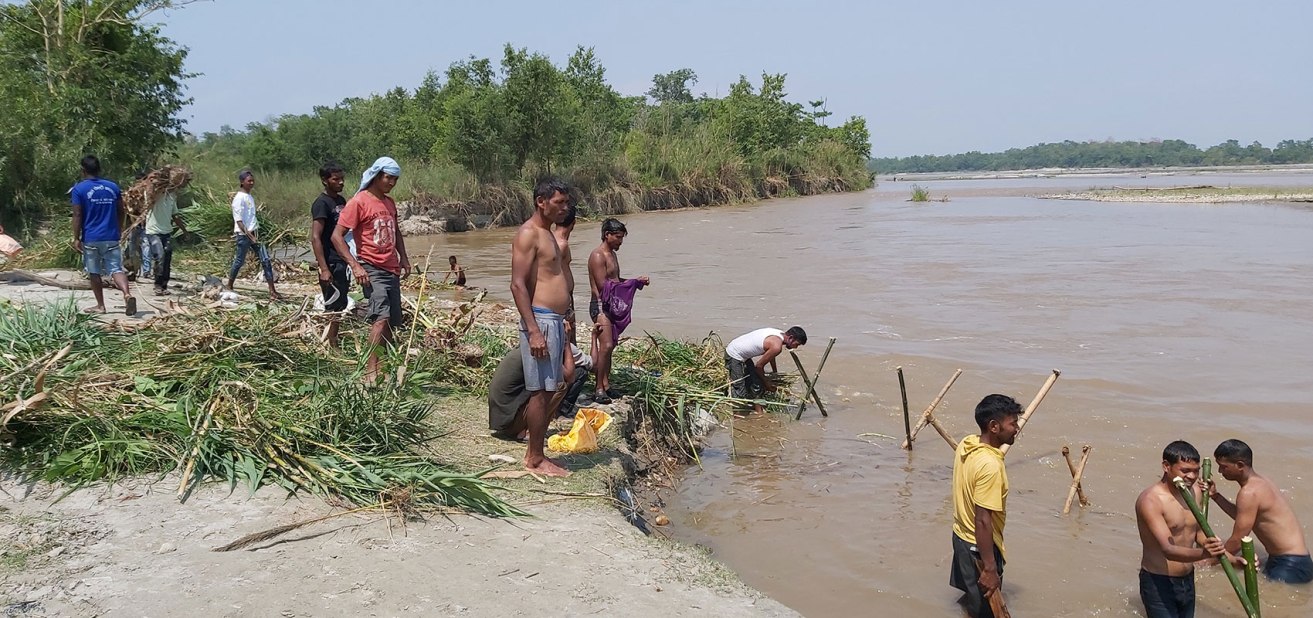 जैविक तटबन्ध