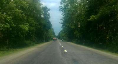 काँकडभिट्टा-लौकही सडक