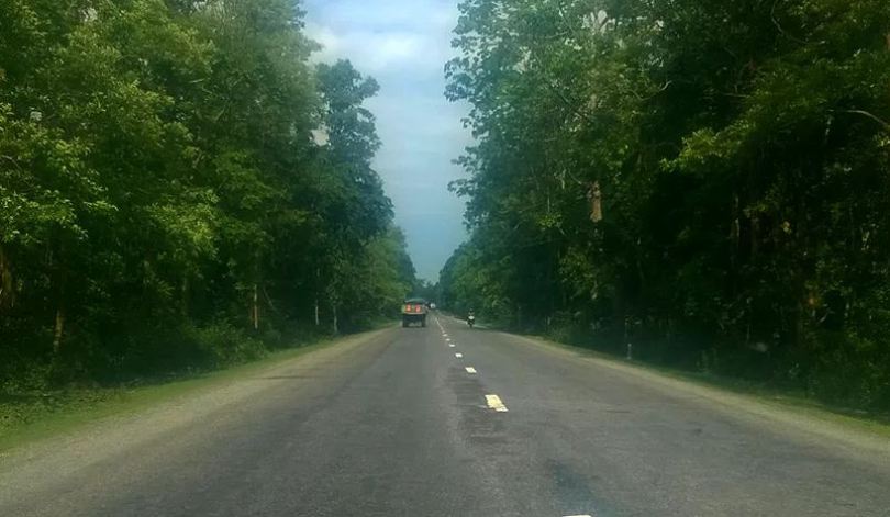 काँकडभिट्टा-लौकही सडक