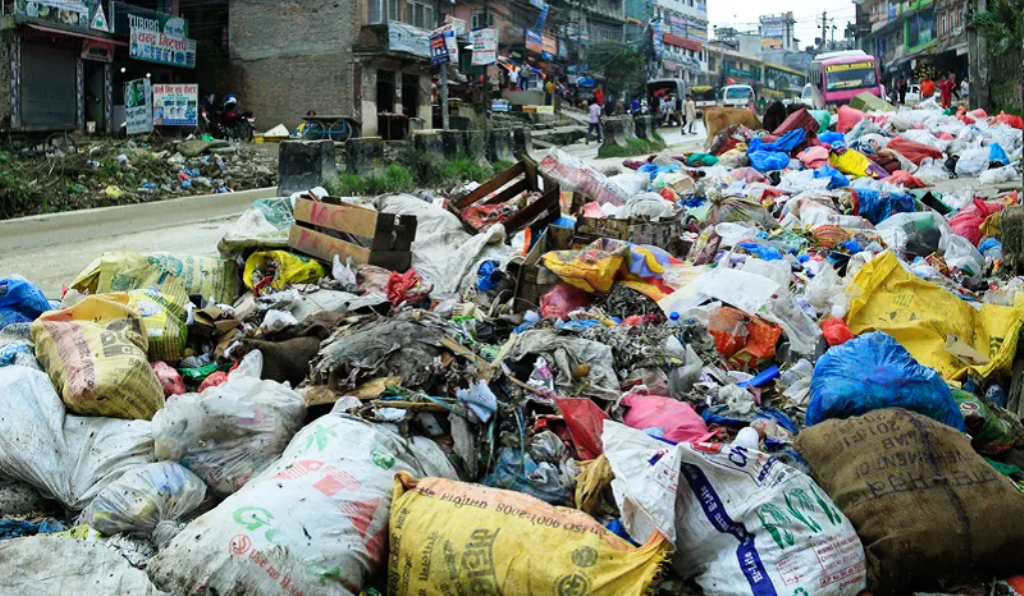 फोहरको डङ्गुर