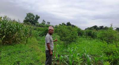 मीनबहादुर केसी कागती खेती दाङ