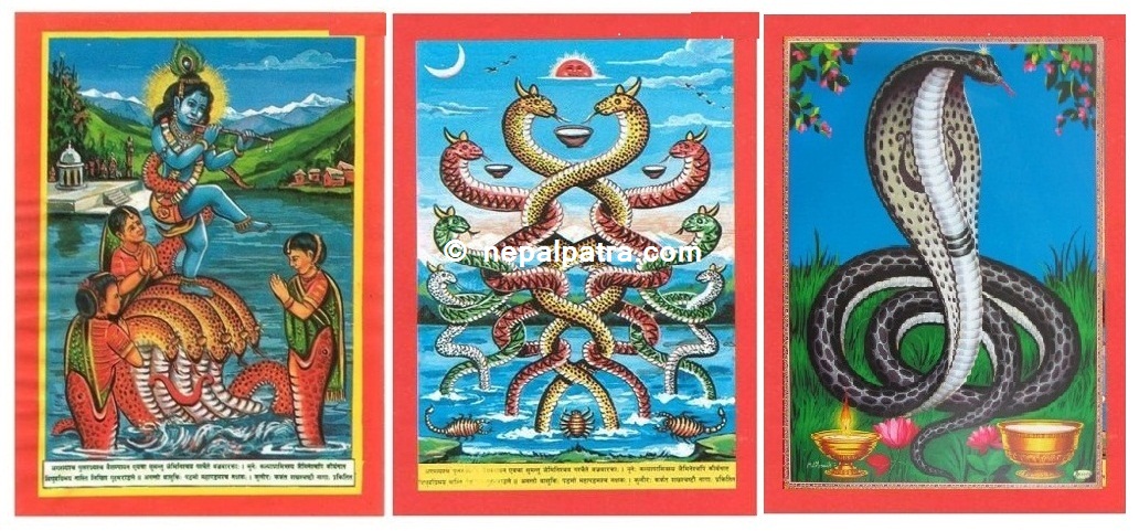 नागपञ्चमी पर्व