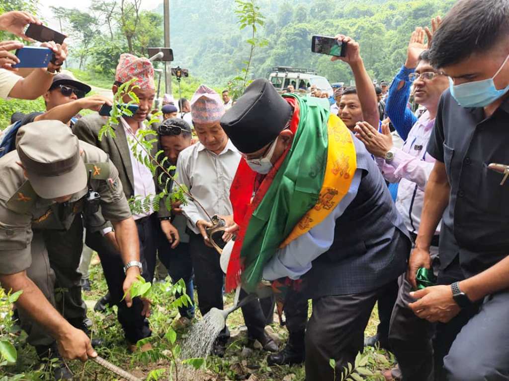 प्रचण्डले हर्क साम्पाङसँग बिरुवा रोप्दै