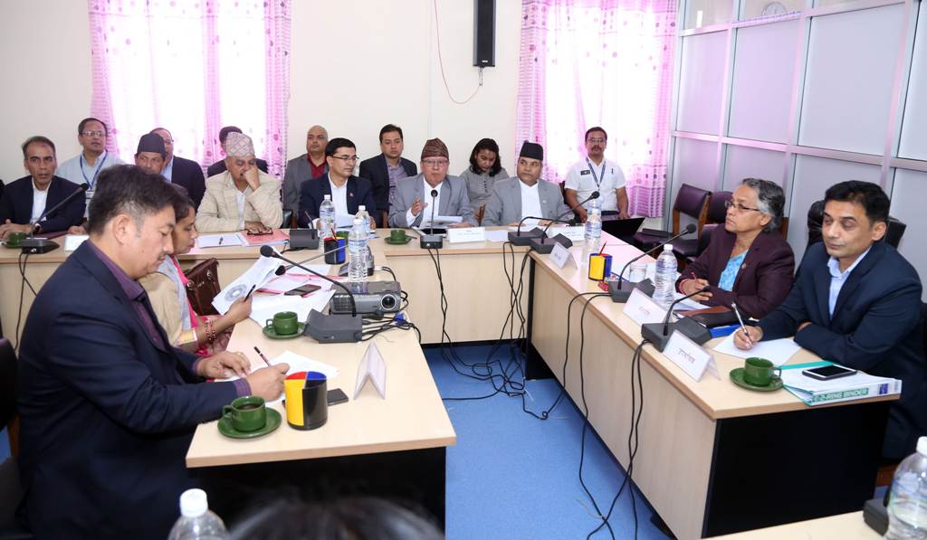 विकास तथा प्रविधि समिति