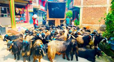 च्याङ्ग्रा