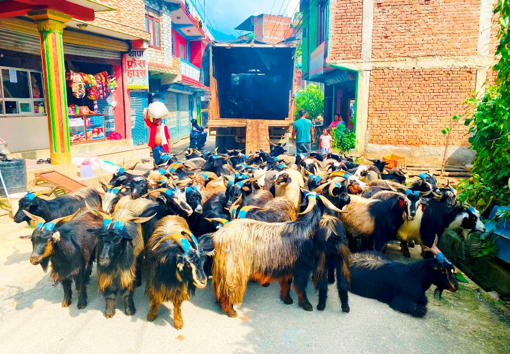 च्याङ्ग्रा