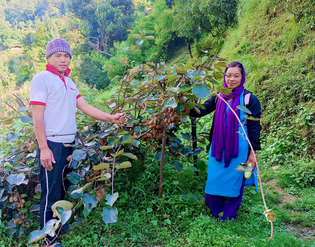 बागलुङमा किवी खेती