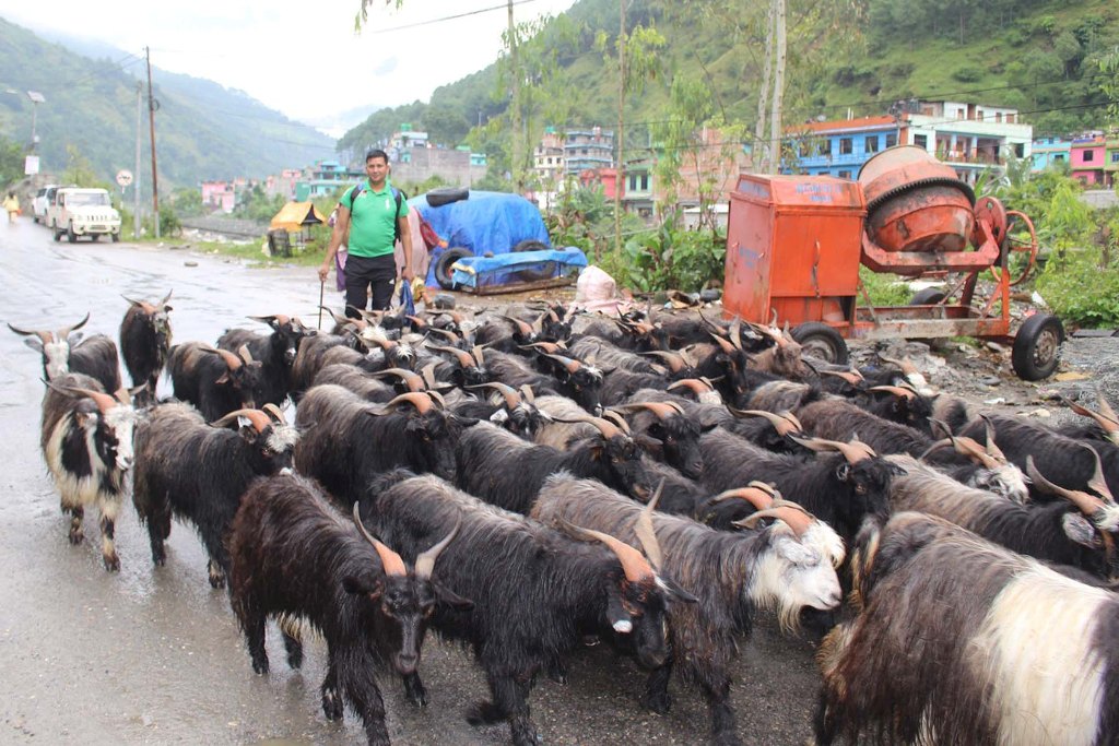 च्याङ्ग्रा