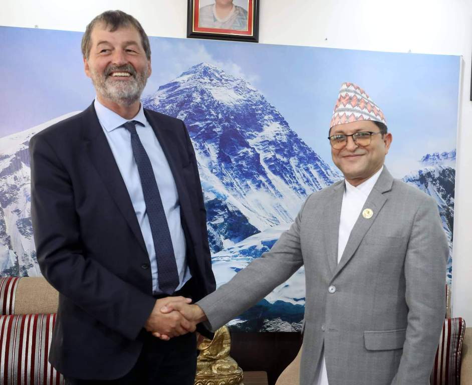 गणेशप्रसाद तिमिल्सिना र डेनियल साल्म