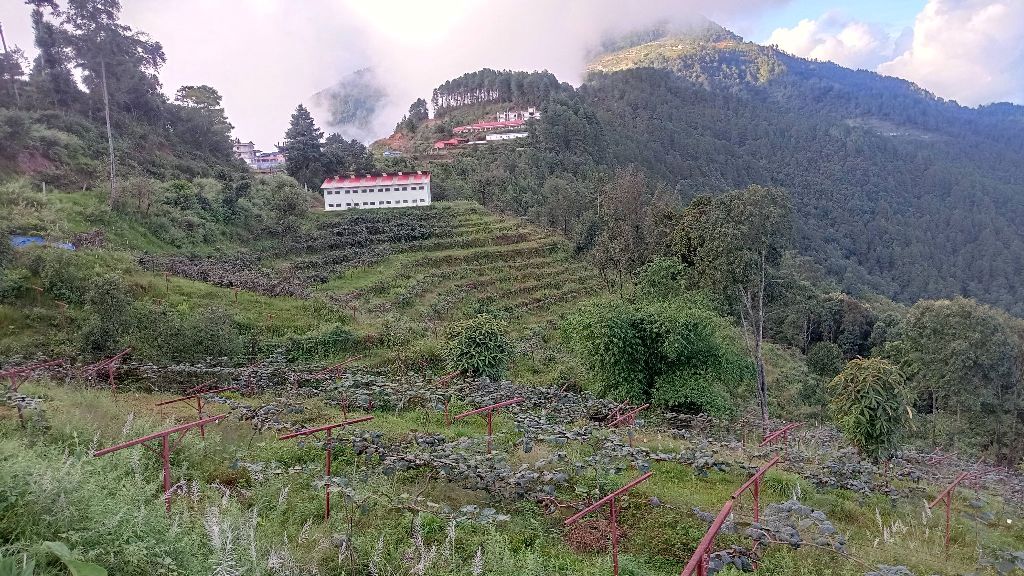 हेलम्बु ककनी