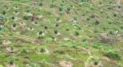 बागलुङमा चक्लाबन्दी