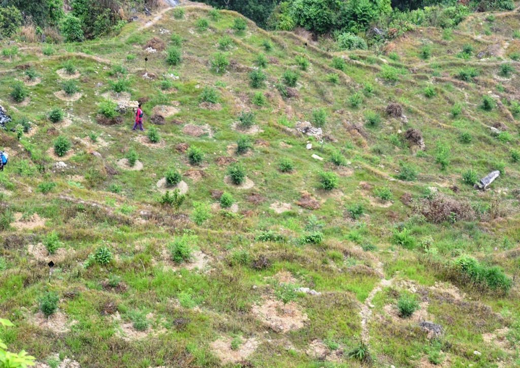 बागलुङमा चक्लाबन्दी