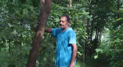 श्रीखण्ड