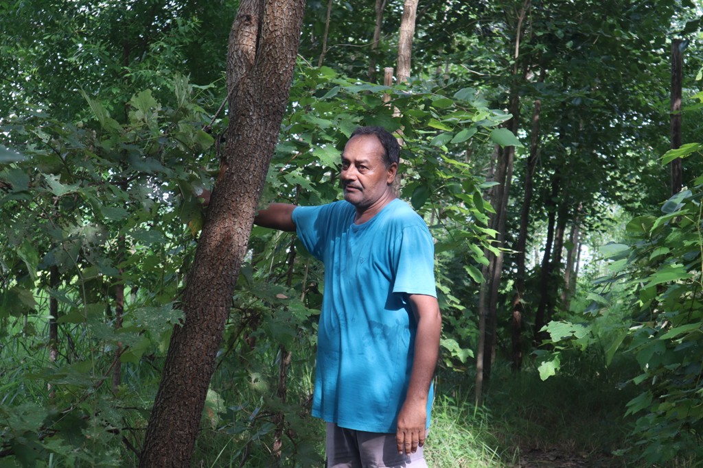 श्रीखण्ड