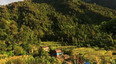 टोकरीगाउँ