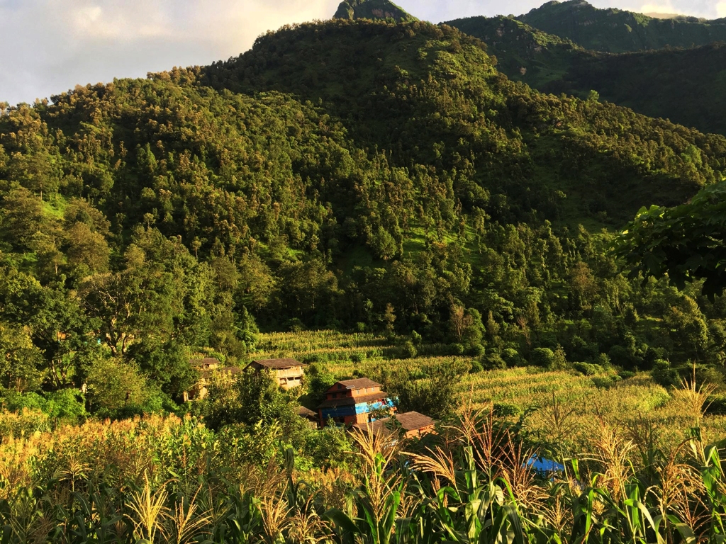 टोकरीगाउँ