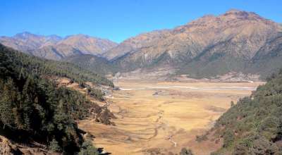 ढोरपाटन आरक्ष