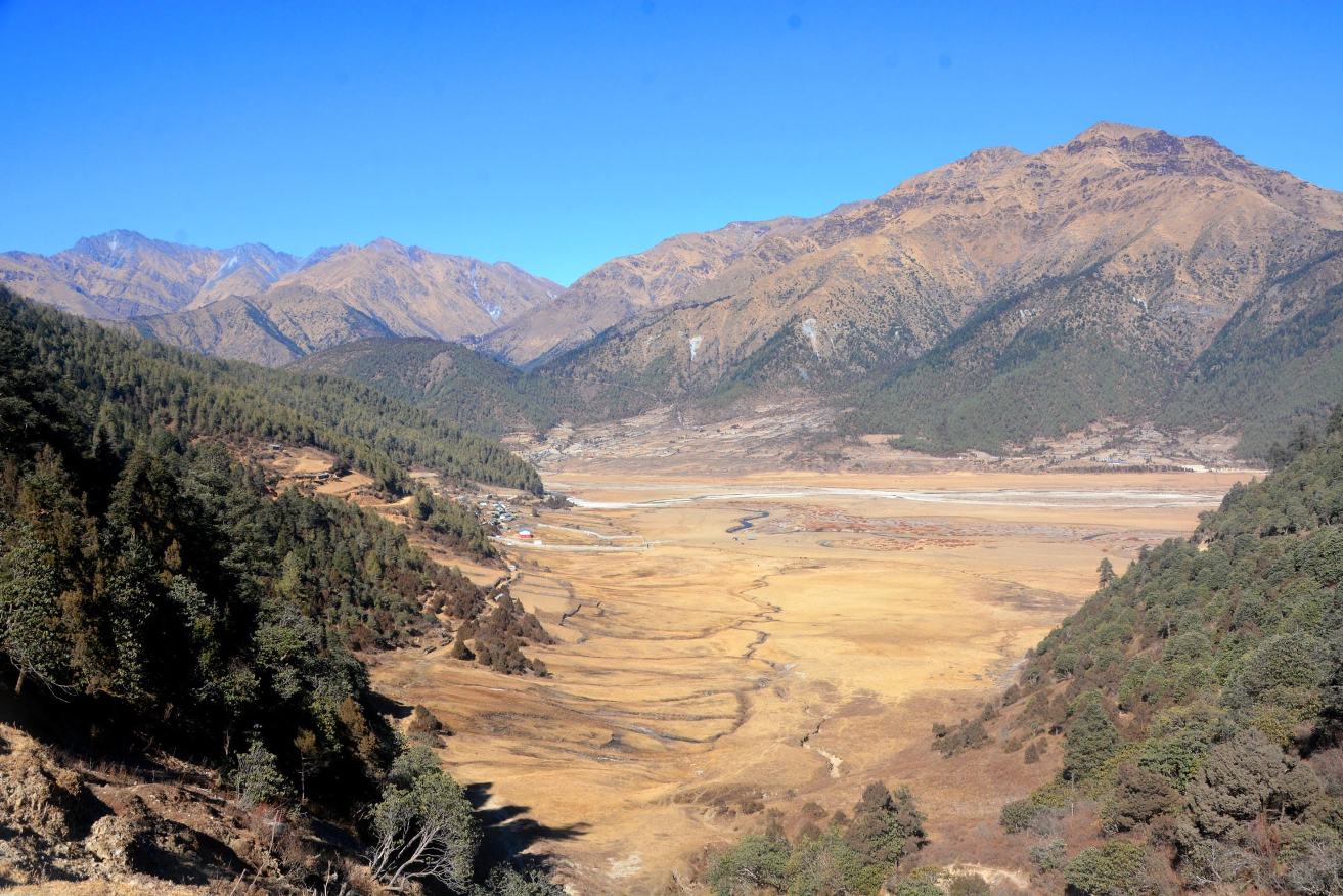 ढोरपाटन आरक्ष