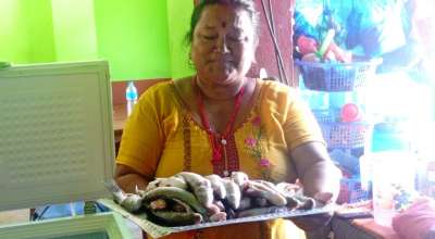 पाइन थाले माछा