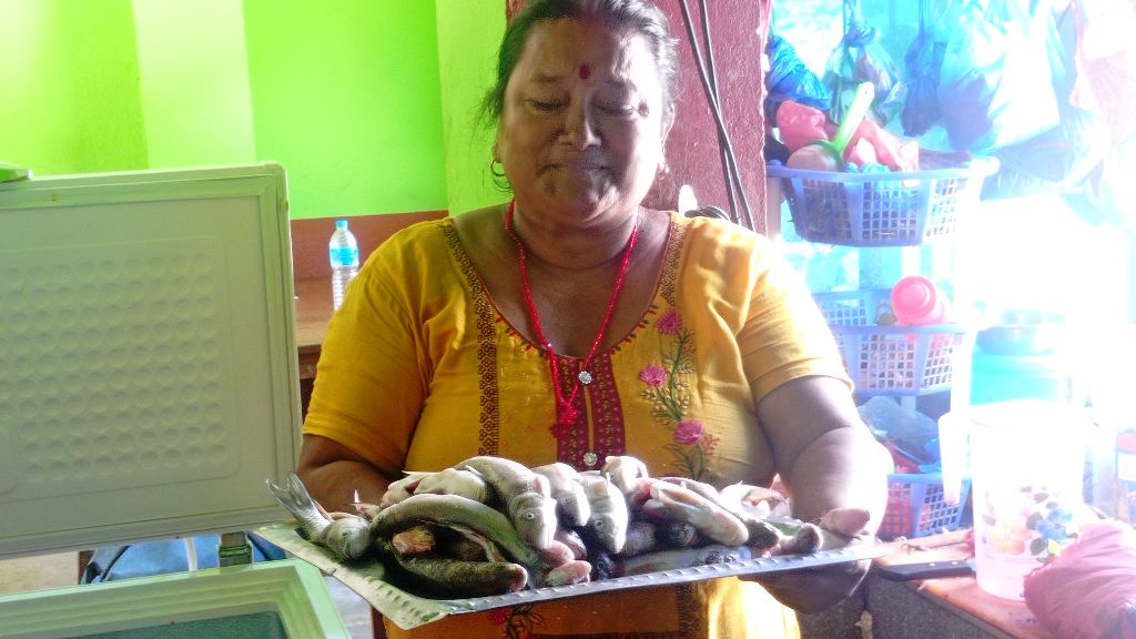 पाइन थाले माछा