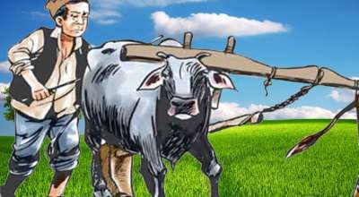 मुक्त हलिया परिवार