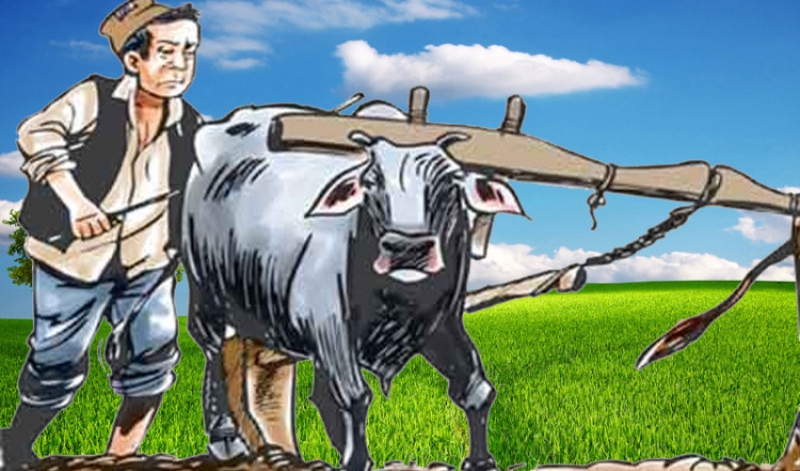 मुक्त हलिया परिवार